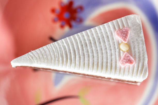 一块巧克力蛋糕图片下载