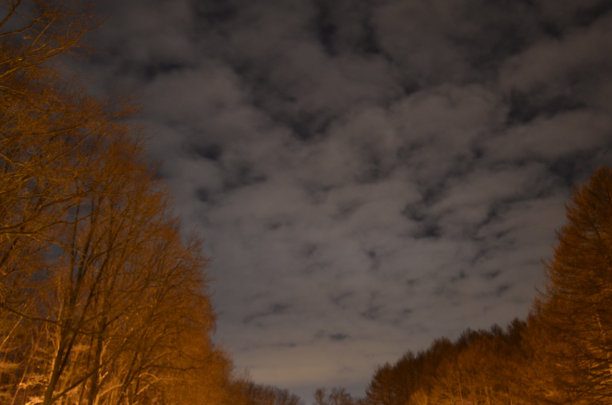 ??????？图片下载