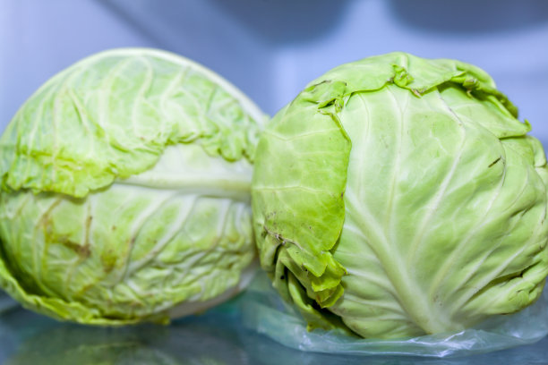 蓝色背景上的卷心菜图片下载