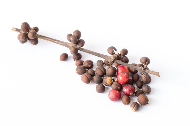 白色背景上的咖啡豆图片下载