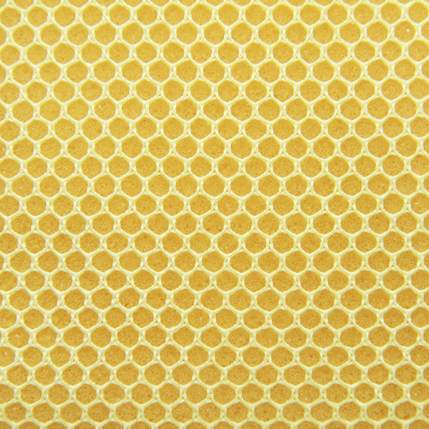 海绵质地用作背景图片下载