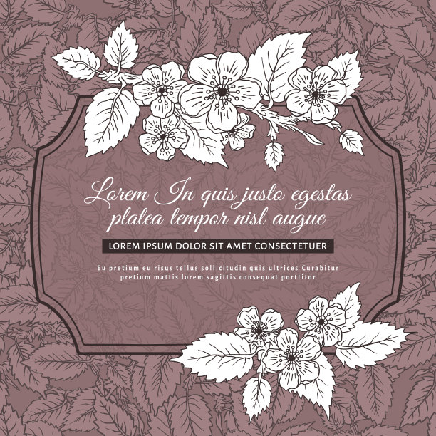 复古花卉插图与春天开花的枝，叶，花，框架图片下载