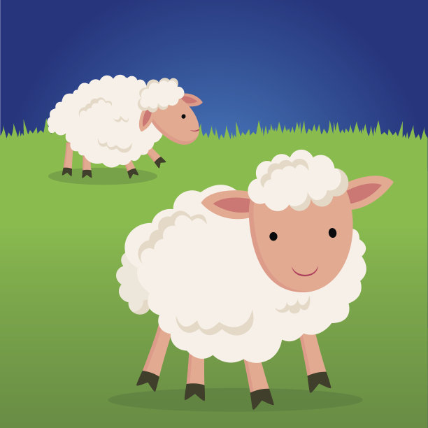 可爱的羊微笑。图片下载