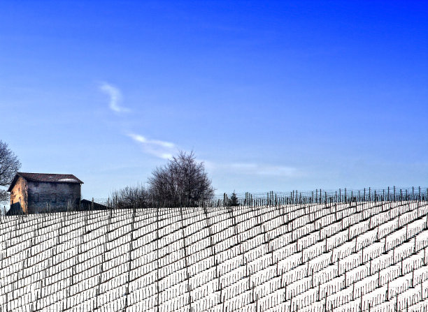 国家农民别墅图片下载