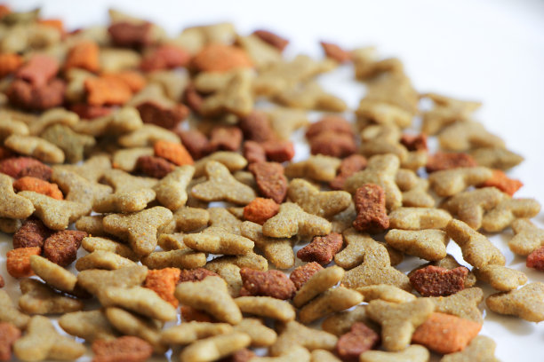宠物食品的特写图片下载