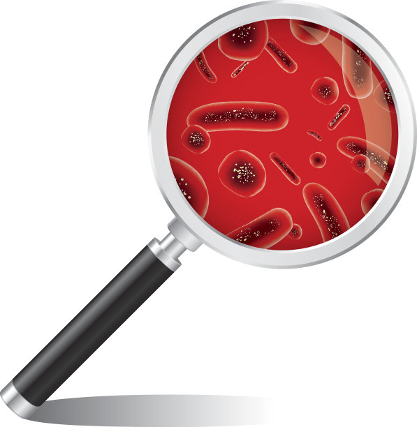 放大细菌特写图片下载