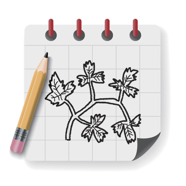 欧芹涂鸦图片下载