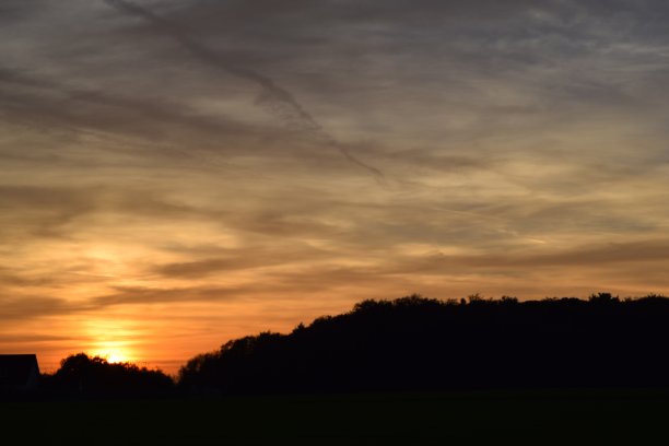 日落在树后面图片下载