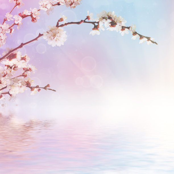 抽象的春天的背景图片下载