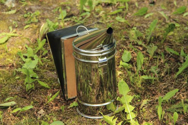 蜜蜂烟民的特写图片下载