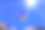 蓝小热带鱼(半半紫翅目)图片下载