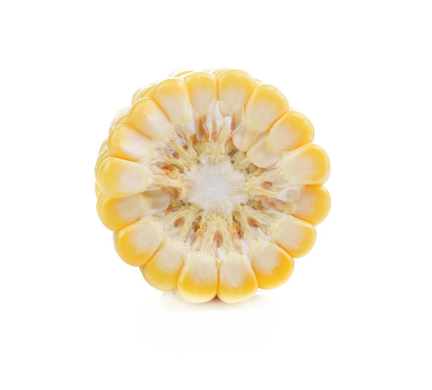 横断面甜cron孤立在白色背景图片下载