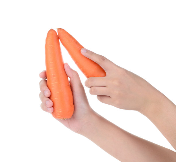 手持胡萝卜孤立于白色图片下载