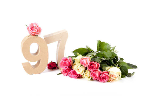 年龄在玫瑰床上图片下载