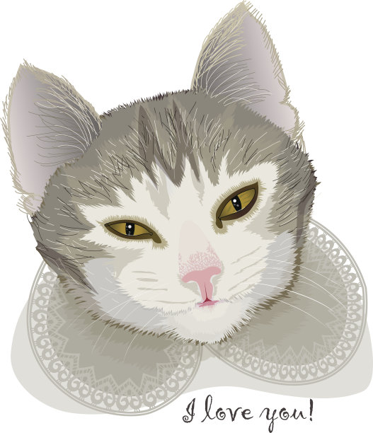 肖像心爱的猫图片下载