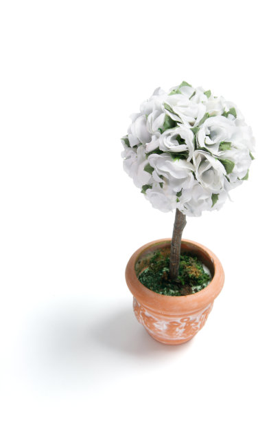 人工盆栽植物图片下载