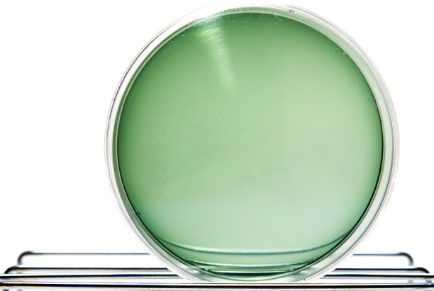 西蒙斯环境(组织培养板)图片下载