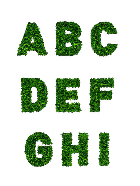 绿叶概念集图片下载