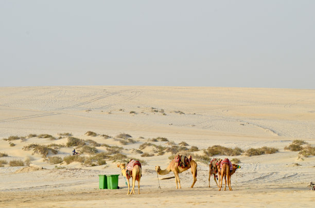 沙漠营地图片下载