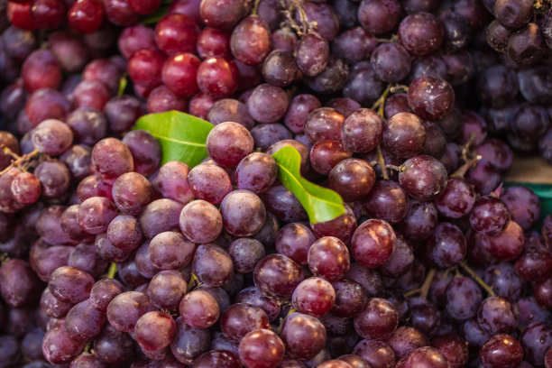 近距离的红色葡萄图片下载