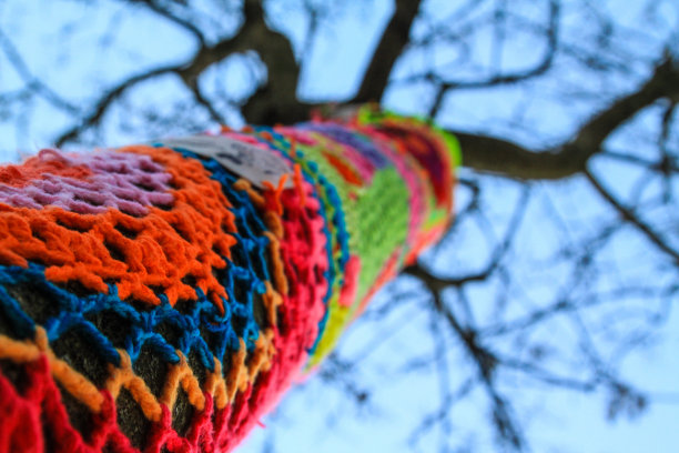 羊毛的树图片下载