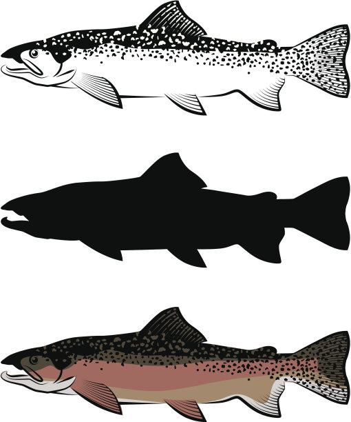 鱼的剪影图片下载