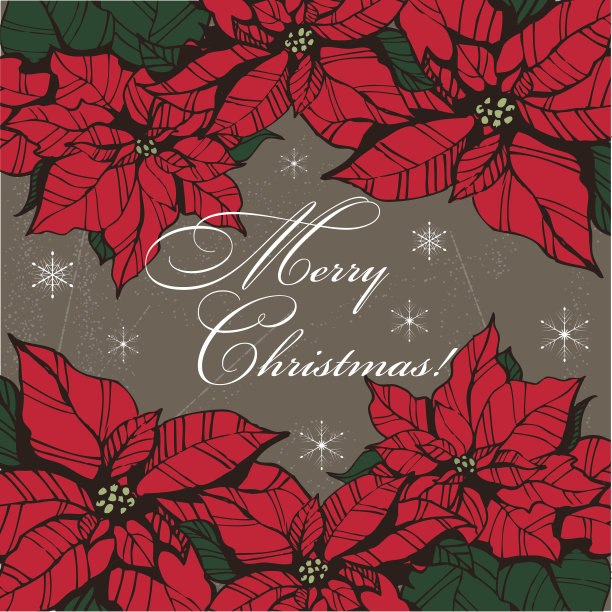 圣诞之星3图片下载