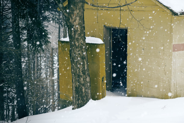 黄色外屋雪天图片下载