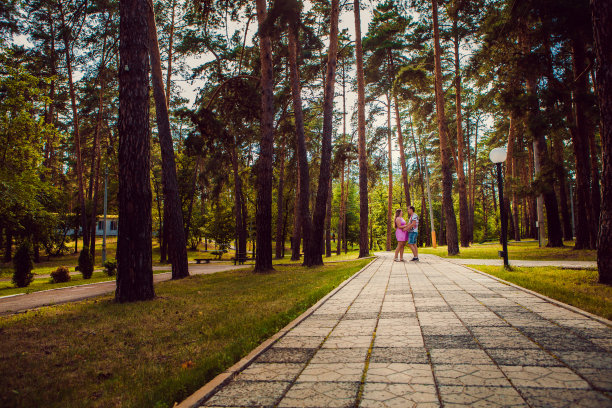 浪漫的年轻夫妇亲吻在背景夏季森林图片下载