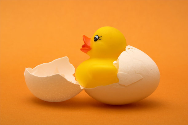 橡皮鸭的诞生图片下载