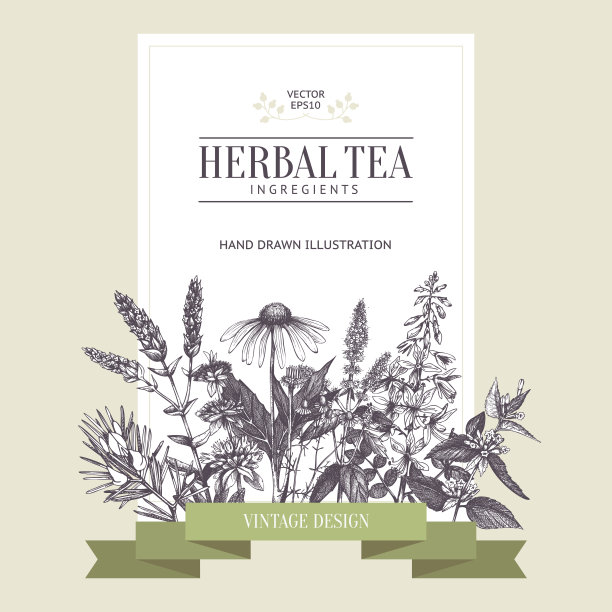 复古卡片设计与草药茶素描收集。图片下载