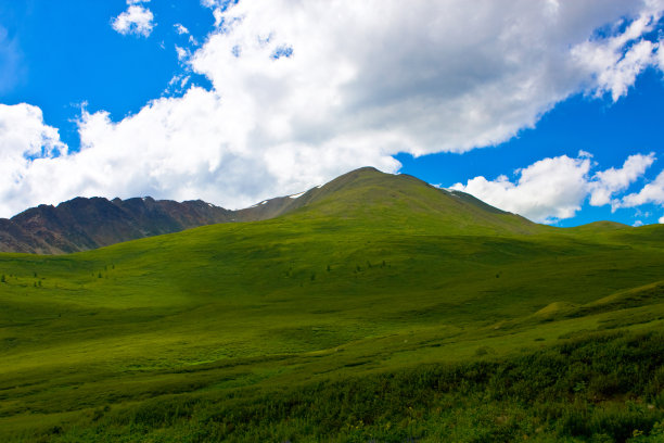 高山草甸图片下载