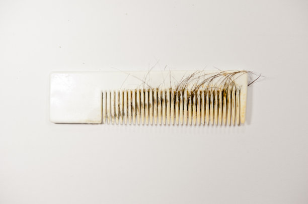 肮脏的毛刷图片下载