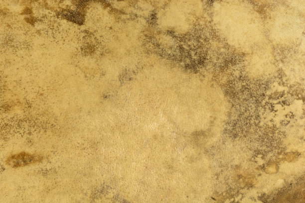 石墙的质感图片下载