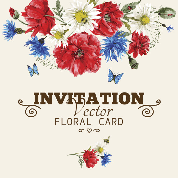 水彩鲜花贺卡与红色罂粟，矢车菊和雏菊图片下载