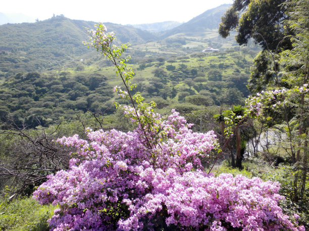 厄瓜多尔比尔卡班巴山景图片下载