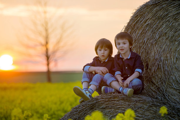 两个孩子，兄弟俩在油菜地里图片下载