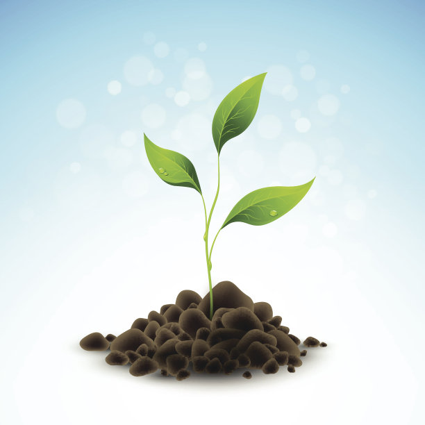 种植树苗生长。矢量图图片下载