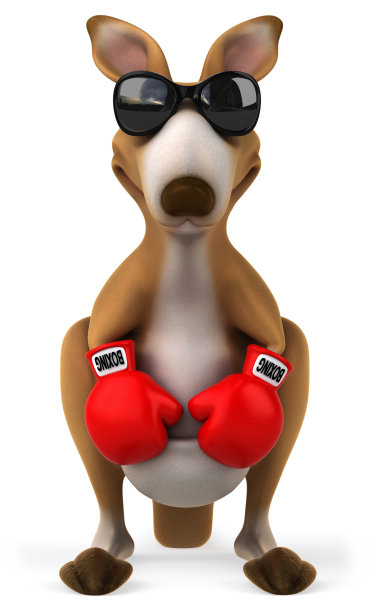 有趣的袋鼠图片下载