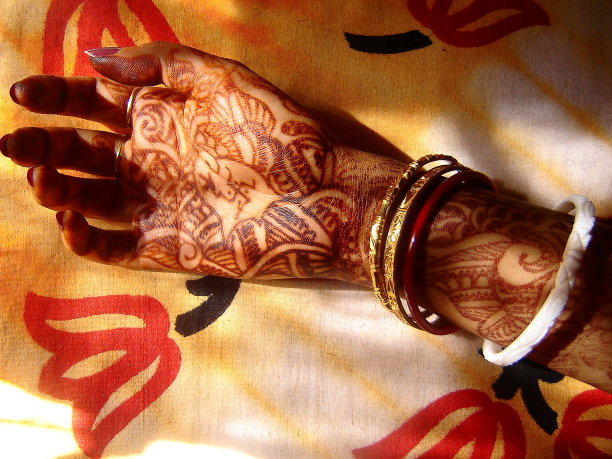 迈汉迪在早晨的阳光下图片下载