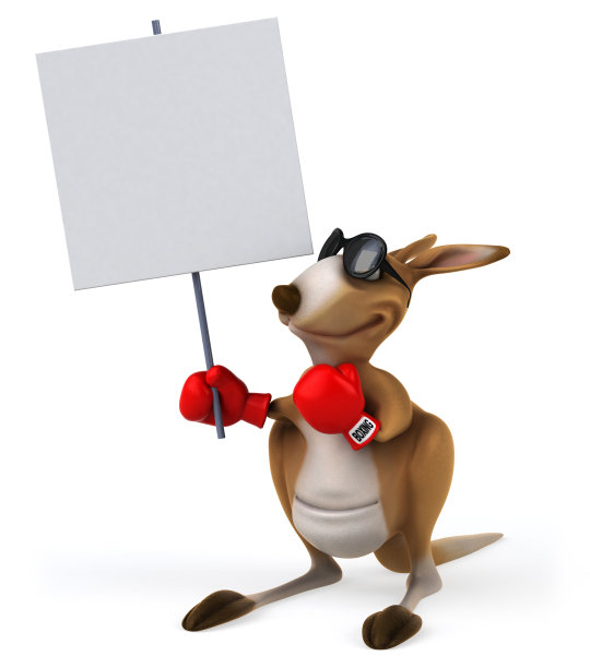 有趣的袋鼠图片下载