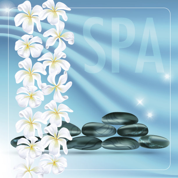 矢量插图与黑色的石头和白色的花。图片下载