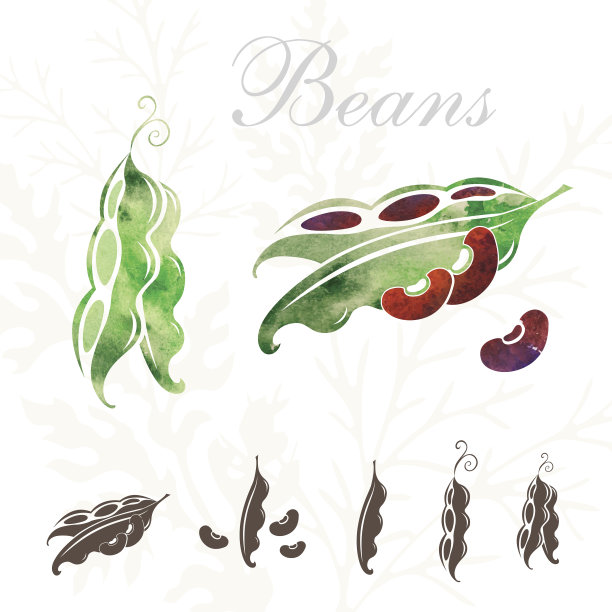 豆子的图标集。图片下载