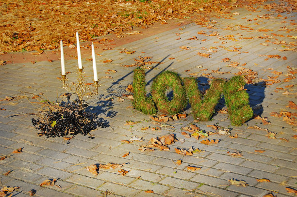 文字爱情的秋天背景。植物种类的安装图片下载