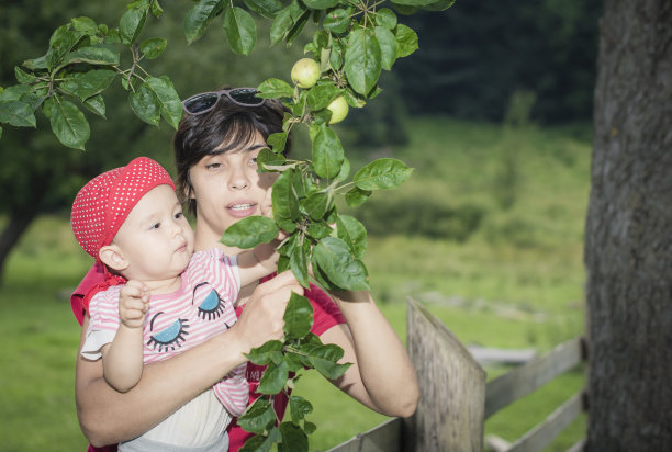 母女俩在摘苹果图片下载