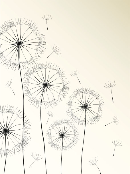 蒲公英卡图片下载