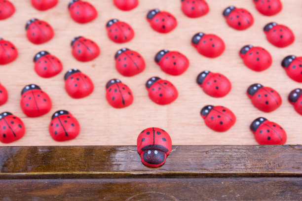 反对与木瓢虫图片下载