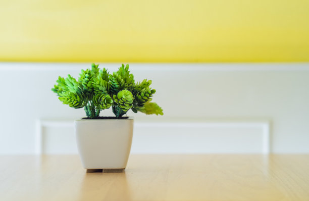 花壶装饰图片下载