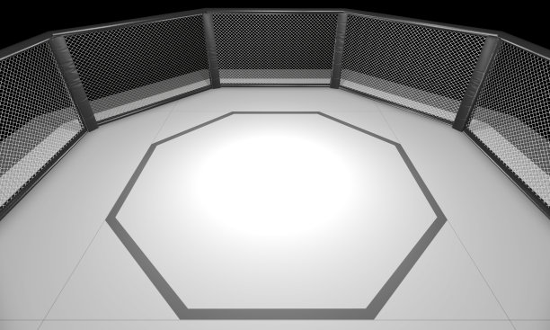 3D渲染插图的综合格斗，综合武术，格斗笼竞技场。图片下载