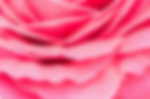 玫瑰花瓣模糊照片，自然抽象概念。图片下载